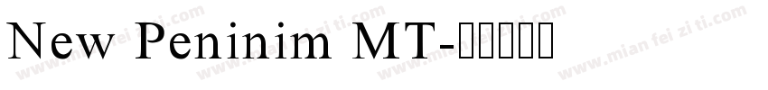 New Peninim MT字体转换